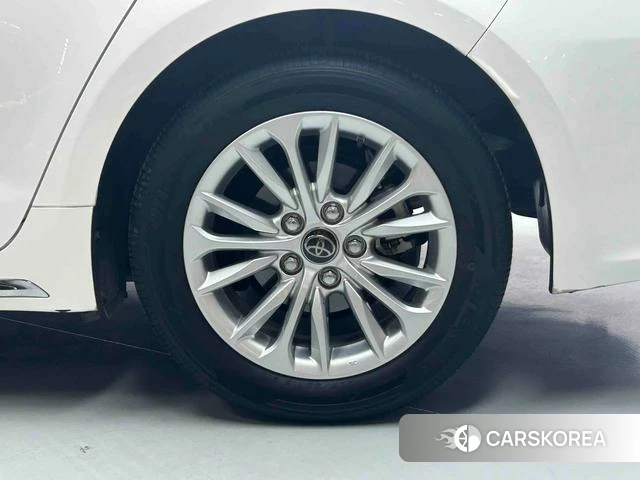 Toyota Asian lion id 4261053 из Китая 18