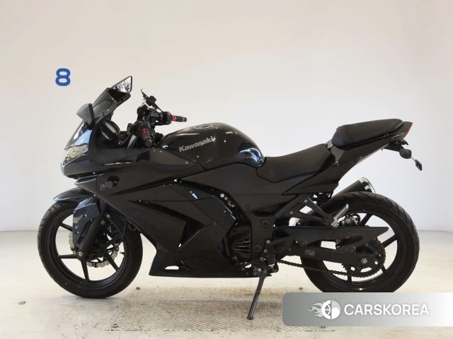 Kawasaki NINJA 250R id 3947494 из Японии 18