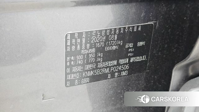 Renault Korea (Samsung) XM3 id 4625450 из Кореи 19