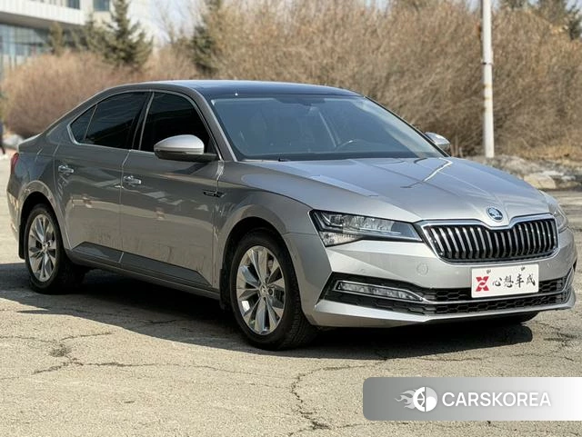 Skoda Speed pie id 4207761 из Китая 19