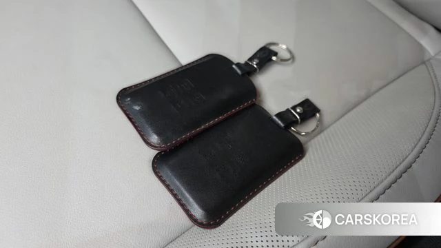 Renault Korea (Samsung) Capture id 4410215 из Кореи 19
