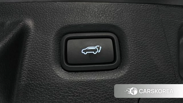 Hyundai The New Santa Fe id 4609270 из Кореи 19