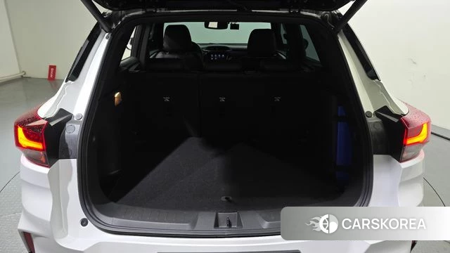 Chevrolet (GM Daewoo) Trailblazer id 4223954 из Кореи 19