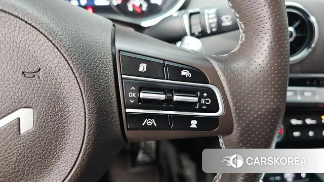 Kia Stinger Meister id 4194852 из Кореи 19