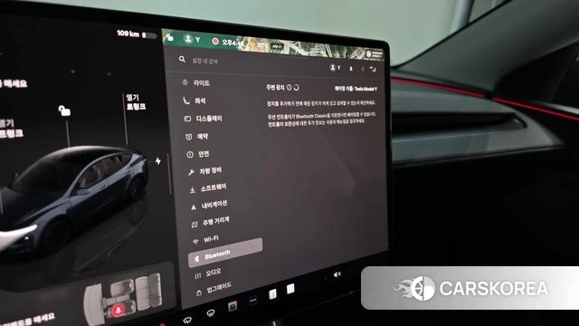 Tesla Model Y id 4315060 из Кореи 19