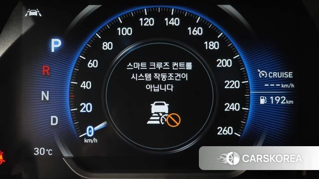 Hyundai Santa Fe TM id 4525894 из Кореи 19