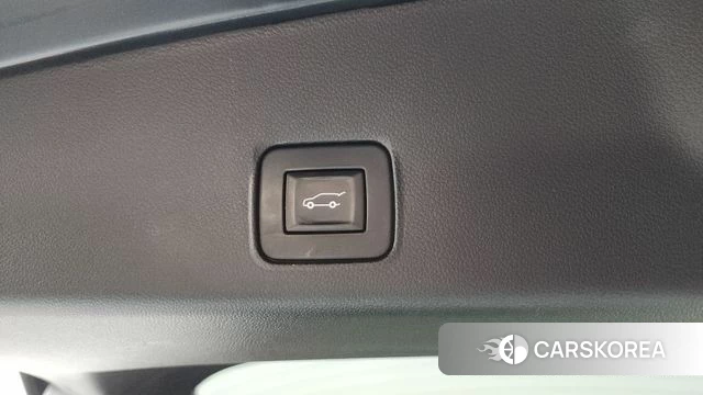 Chevrolet (GM Daewoo) Trailblazer id 4225038 из Кореи 19