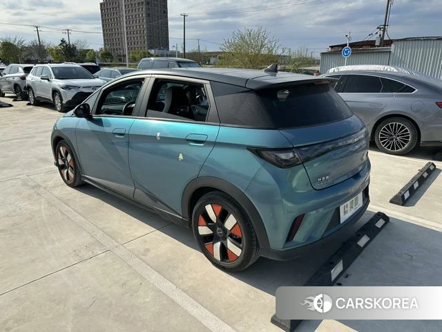 BYD dolphin id 4240196 из Китая 19