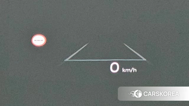 Hyundai Santa Fe (MX5) id 4292153 из Кореи 19