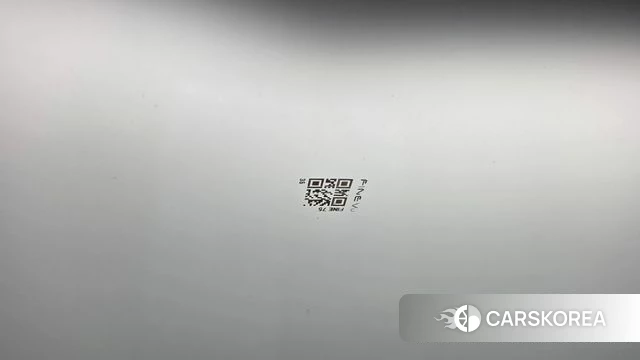 Renault Korea (Samsung) Arcana id 4734895 из Кореи 19