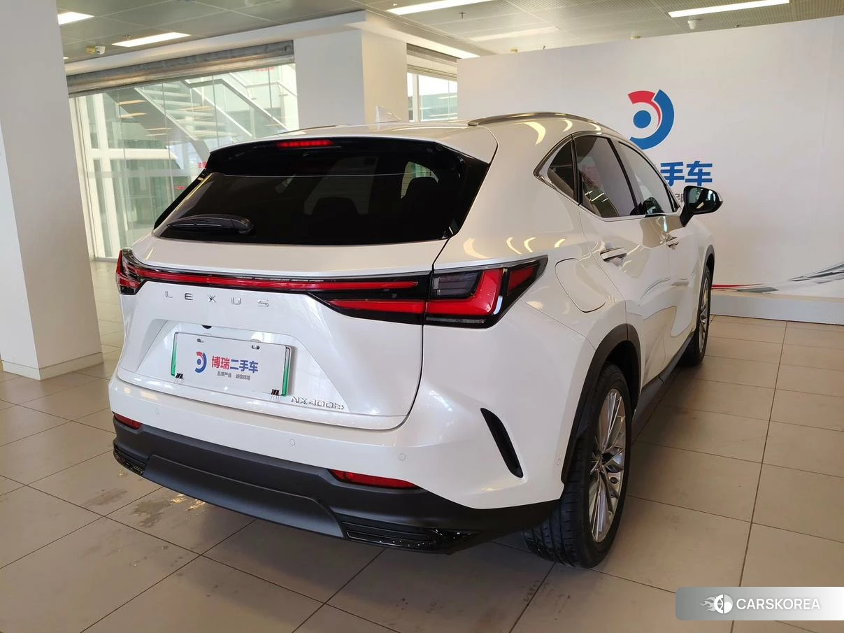 Lexus NX PHEV id 4498690 из Китая 19