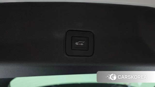 Chevrolet (GM Daewoo) Trailblazer id 4712347 из Кореи 19