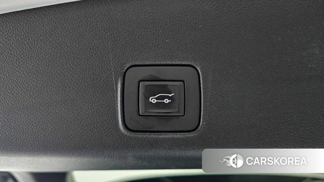 Chevrolet (GM Daewoo) Trailblazer id 4230744 из Кореи 19