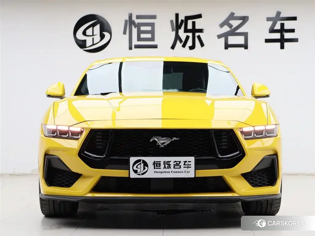 Ford Mustang id 4548180 из Китая 19