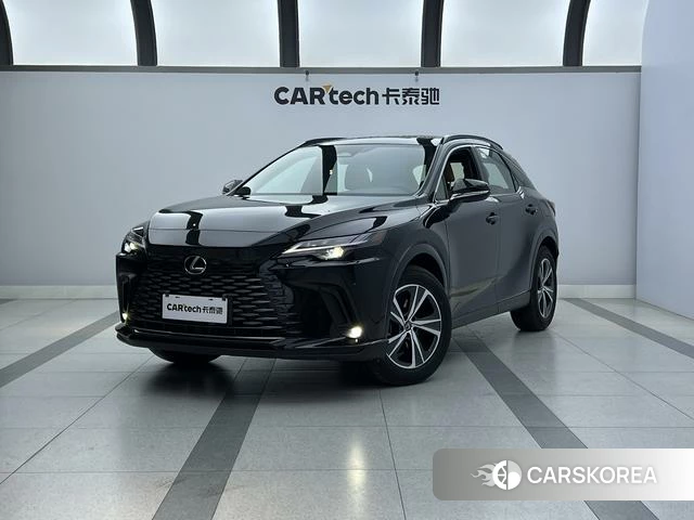 Lexus RX id 3920388 из Китая 19