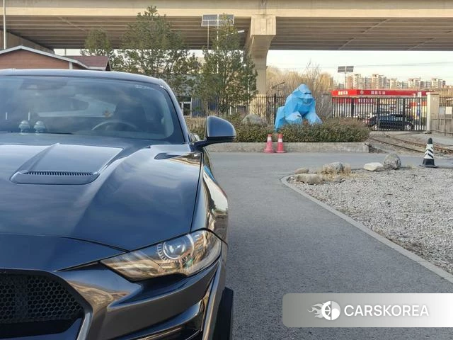 Ford Mustang id 4235417 из Китая 19