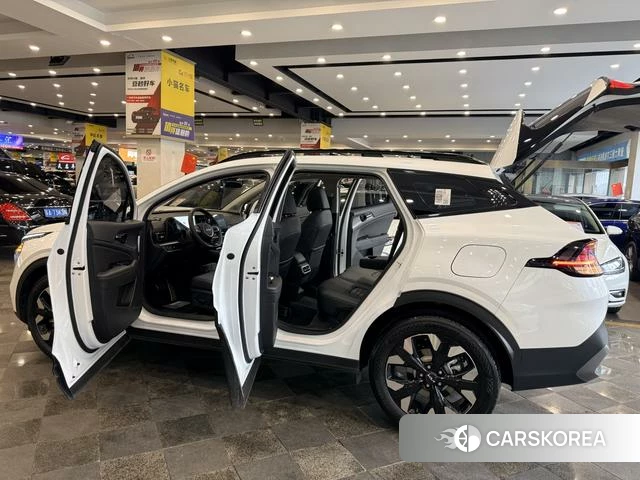 Kia Lion Platinum expands the world id 4297723 из Китая 19