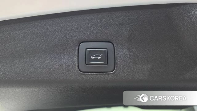 Chevrolet (GM Daewoo) Trailblazer id 4693301 из Кореи 19