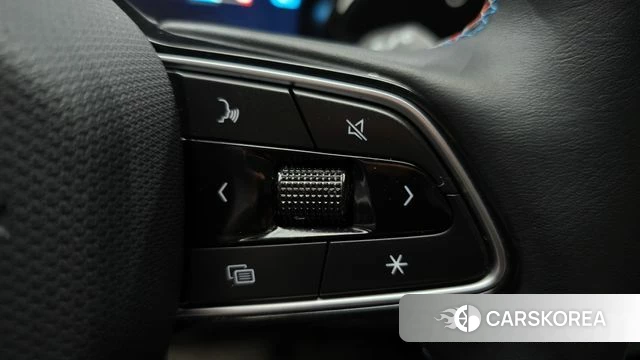 Renault Korea (Samsung) Grand Coleos id 4408075 из Кореи 19