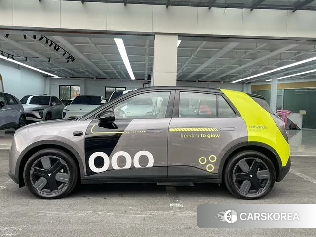 firefly firefly Unknown id 4182703 из Китая 19