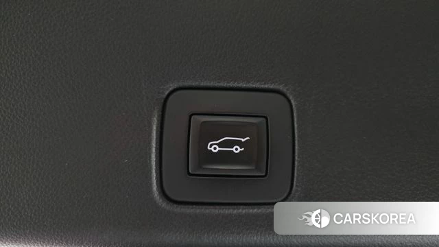 Chevrolet (GM Daewoo) Trailblazer id 4651210 из Кореи 19