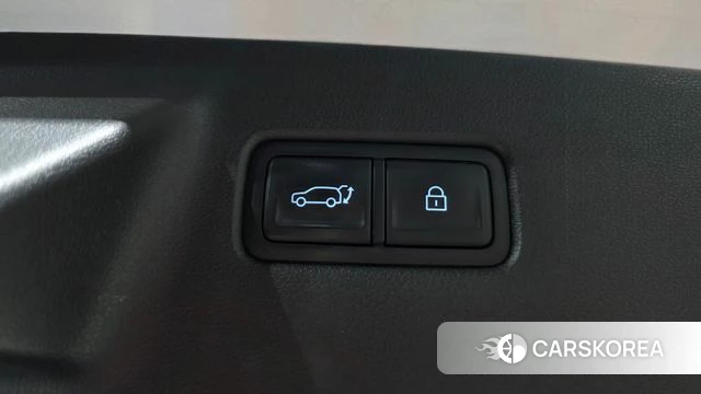 Hyundai Santa Fe (MX5) id 4248818 из Кореи 19