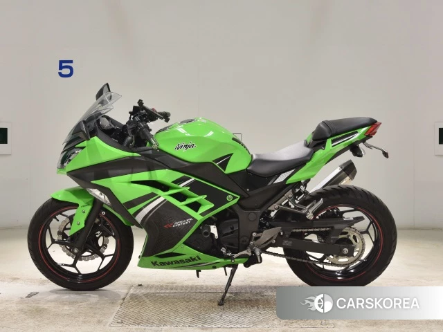 Kawasaki NINJA 250 ABS SE id 3946856 из Японии 18