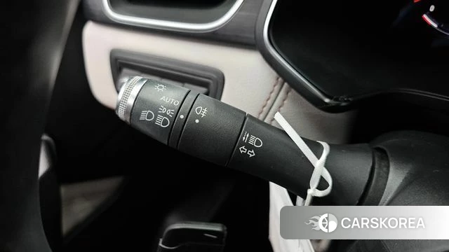 Renault Korea (Samsung) Capture id 4764690 из Кореи 19