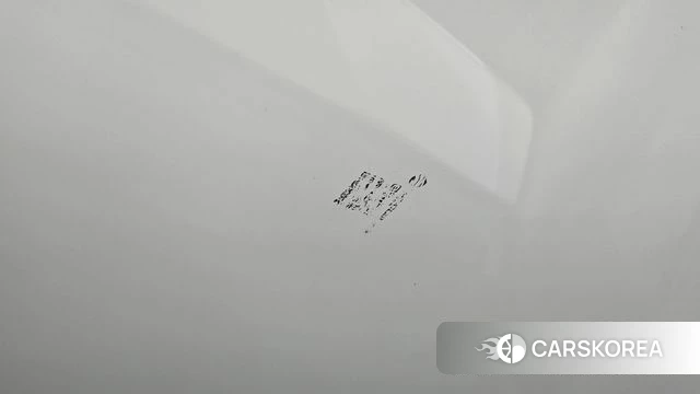 Tesla Model Y id 4686844 из Кореи 19