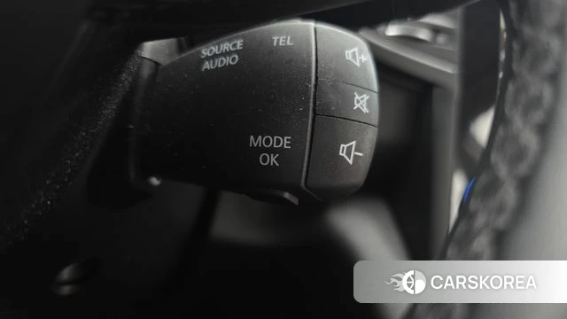 Renault Korea (Samsung) QM6 id 4459561 из Кореи 19