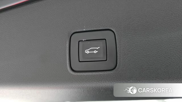Chevrolet (GM Daewoo) Trailblazer id 4603207 из Кореи 19