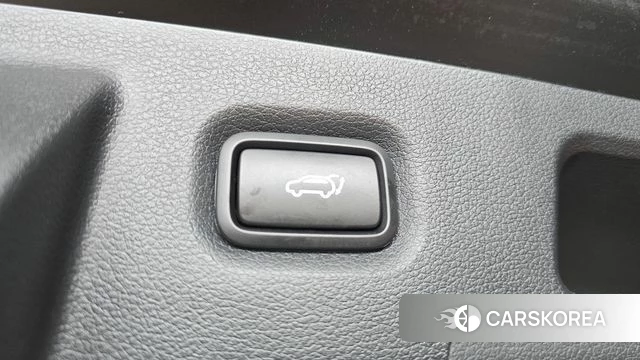 Hyundai Santa Fe TM id 4633141 из Кореи 19