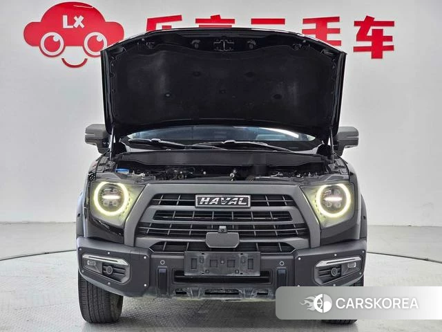 Haval Big dog id 4235949 из Китая 19