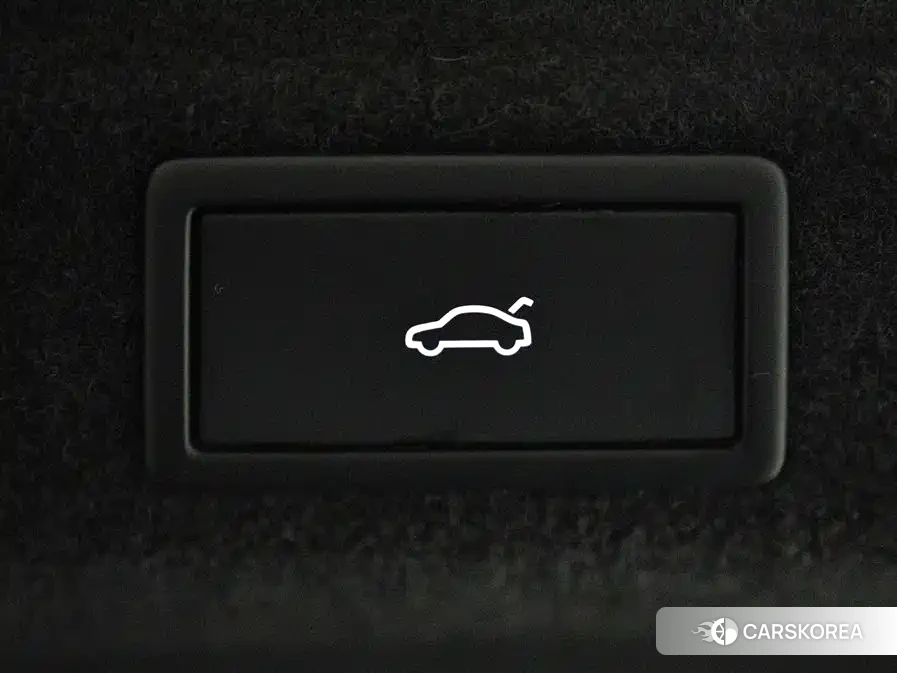 Skoda Speed pie id 4559648 из Китая 19