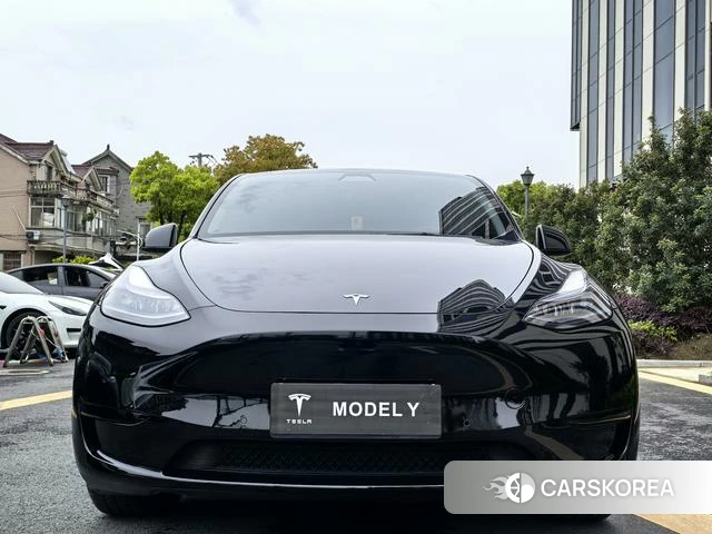 Tesla Model Y id 4229197 из Китая 19