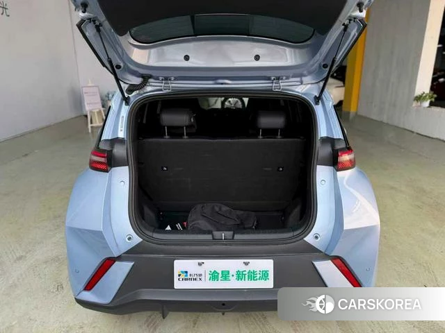 BYD Seagull id 3919534 из Китая 19