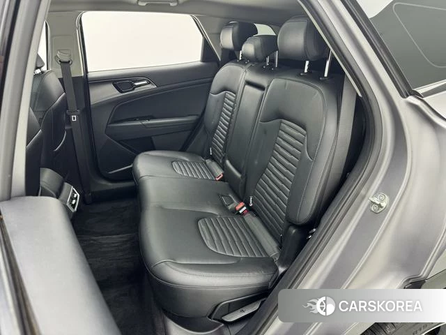 Kia Lion Platinum expands the world id 4259377 из Китая 19