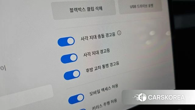 Tesla Model 3 id 4589877 из Кореи 19