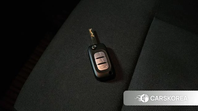 Renault Korea (Samsung) Master id 4530208 из Кореи 19