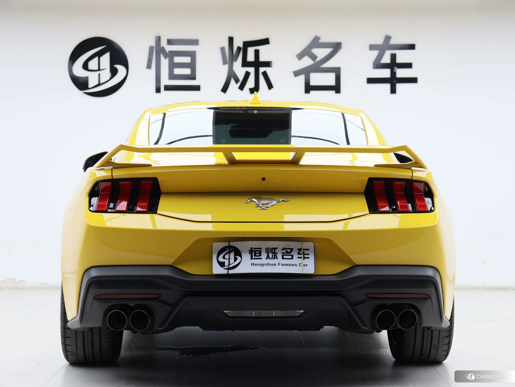 Ford Mustang id 4486306 из Китая 19