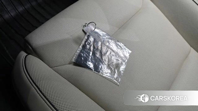 Tesla Model X id 4696341 из Кореи 19