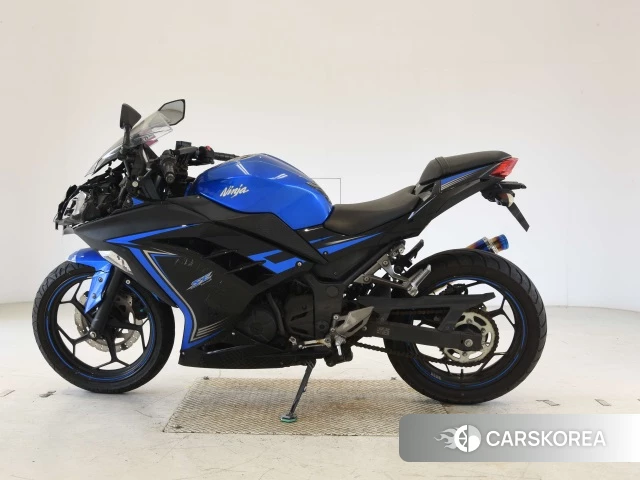 Kawasaki NINJA 250 id 3947218 из Японии 18