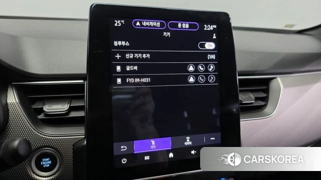 Renault Korea (Samsung) Arcana id 4427448 из Кореи 19