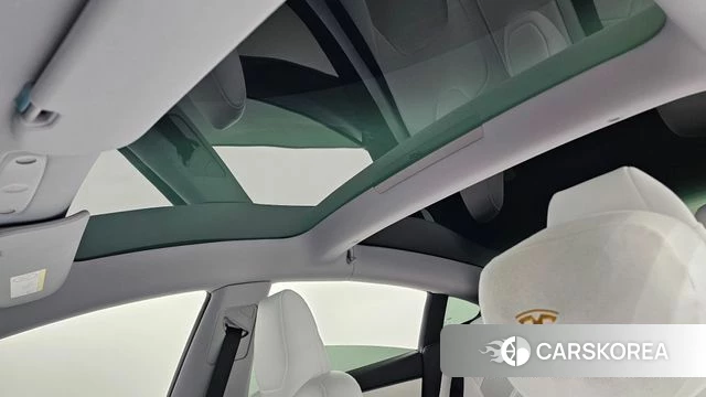 Tesla Model 3 id 4421545 из Кореи 19