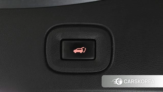 Renault Korea (Samsung) QM6 id 4647585 из Кореи 19