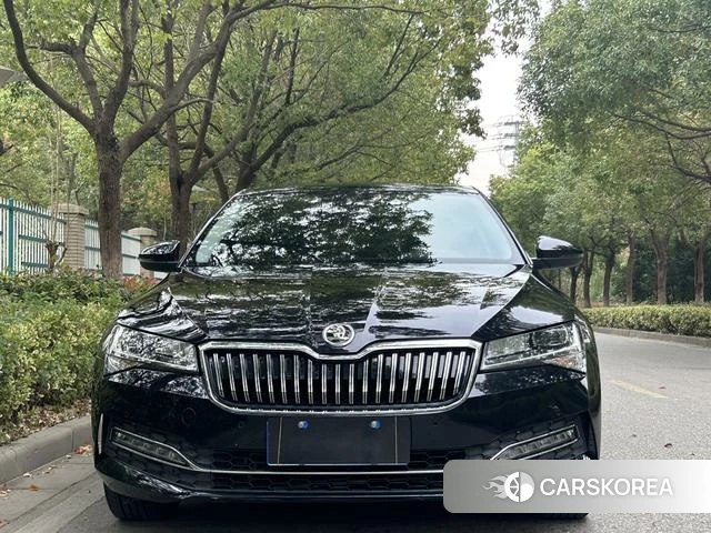 Skoda Speed pie id 4221421 из Китая 19