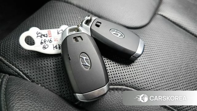 Hyundai Palisade id 4529458 из Кореи 19