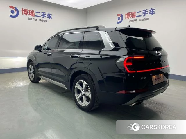 Hyundai Shengda id 4259556 из Китая 19