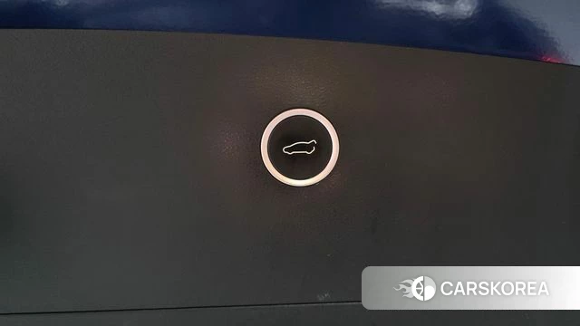 Tesla Model X id 4344766 из Кореи 19