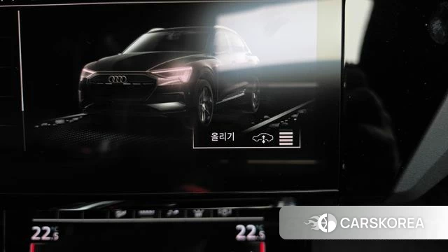 Audi e-Tron id 4323831 из Кореи 19